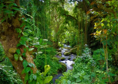Les Tombeaux royaux de Gunung Kawi