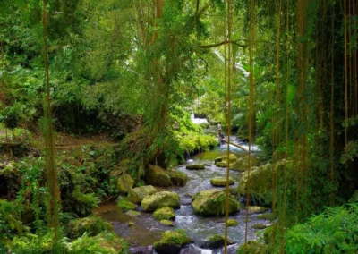 Les Tombeaux royaux de Gunung Kawi