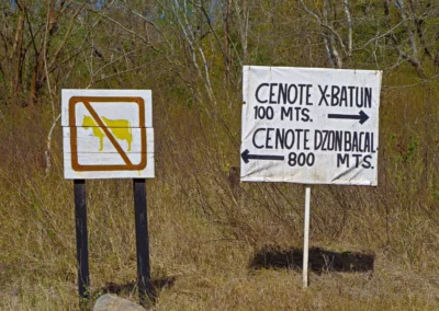 Les cenotes x-batum et dzombakal au Yucatan