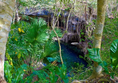 Les cenotes x-batum et dzombakal au Yucatan