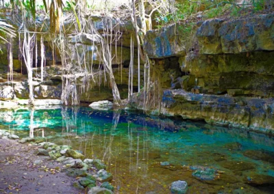 Les cenotes x-batum et dzombakal au Yucatan