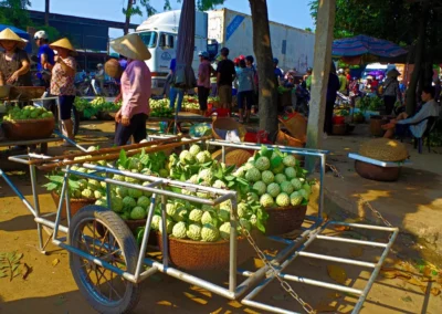 Marché de la Pomme Cannelle