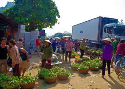 Marché de la Pomme Cannelle