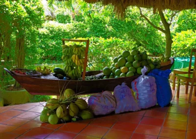 Corbeille de fruits au restaurant du Mekong lodge