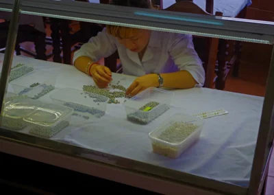 Perles de la Baie d'Ha Long