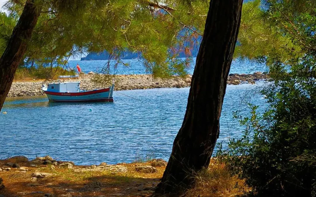 Phaselis