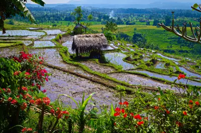 Village de Bali Aga de Tenganan