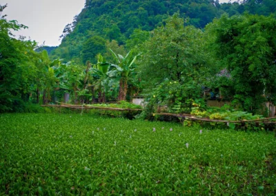 Village des forgerons à Ban Pac Rang