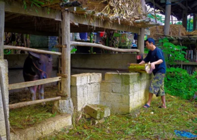 Village des forgerons à Ban Pac Rang
