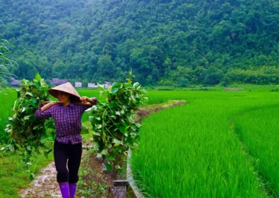 Village des forgerons à Ban Pac Rang