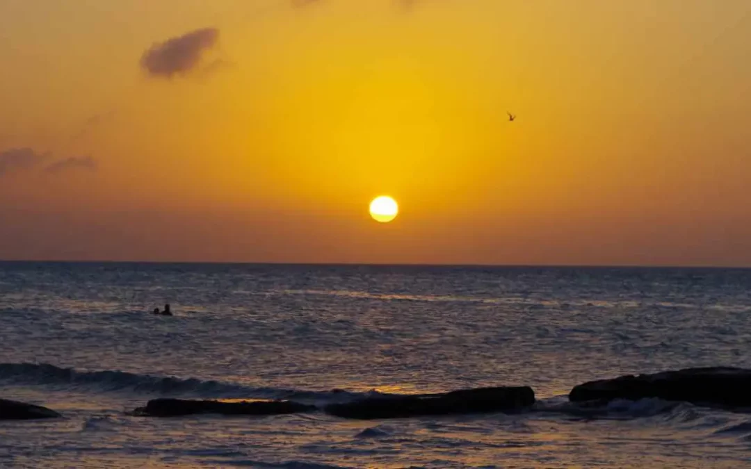Île Holbox
